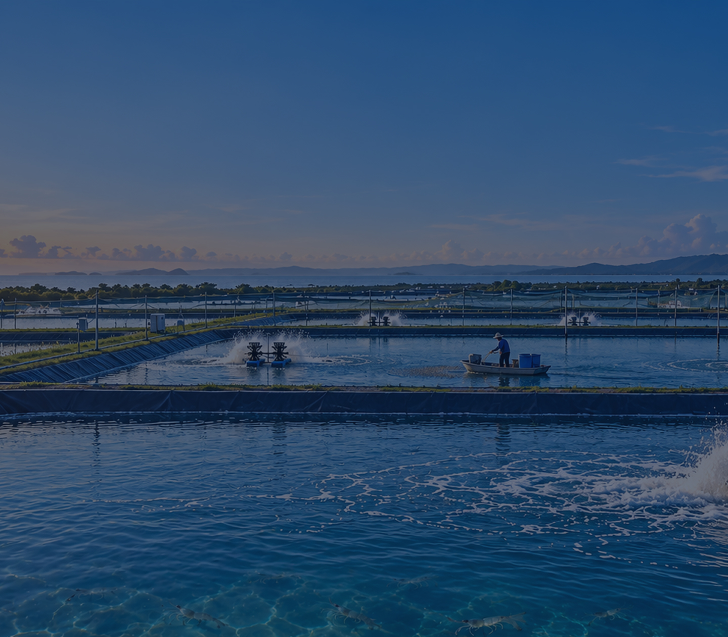 Aquaculture Pond Horizon