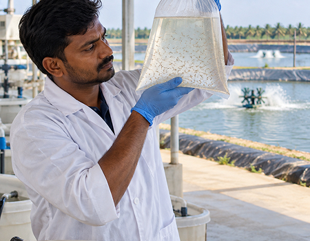 Hatchery & Seed Selection