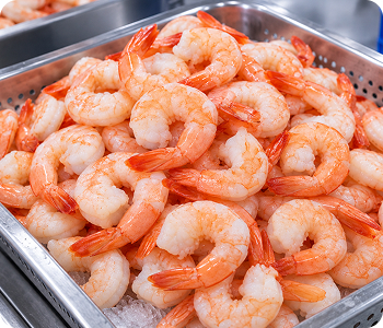 Shrimp pond preparation