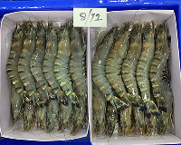 Fresh shrimp