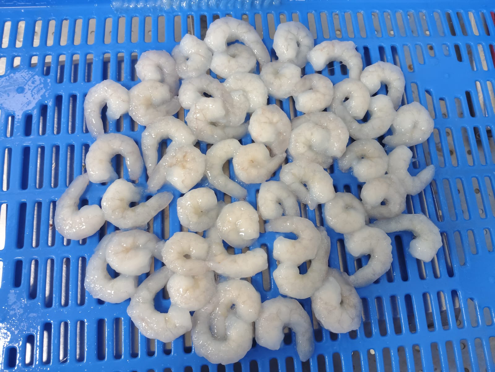 Shrimp pond water quality control